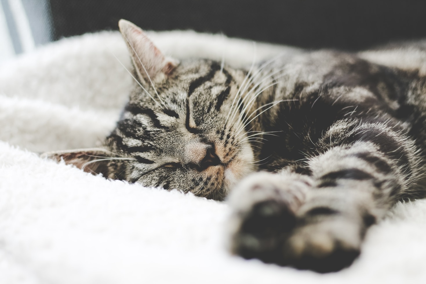 How to Choose the Best Mattress for Your Needs
